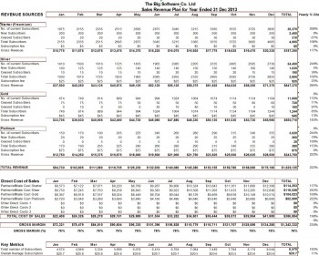 Software as a Service SaaS Model Budget/Plan